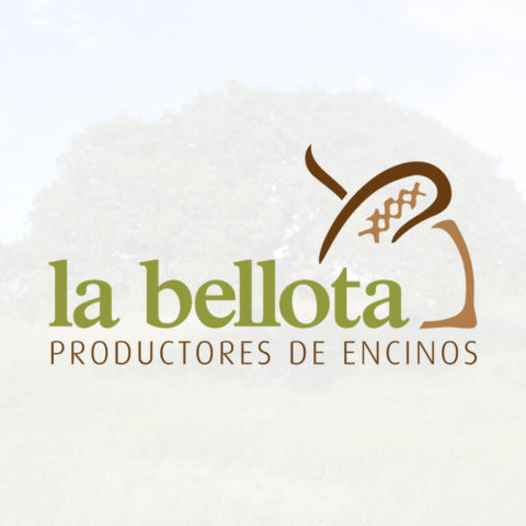 La Bellota
